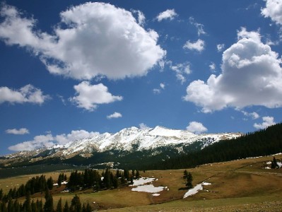 警惕！花呗套利的四大风险与合规使用指南