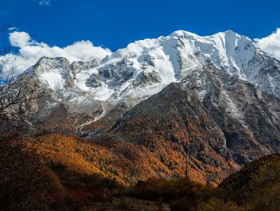 警惕“花呗套现”陷阱！富信掌柜教你合规解决资金周转难题