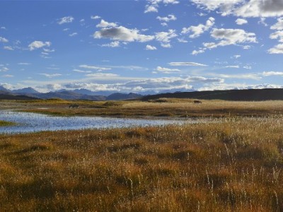 花呗借呗问题别焦虑！加微信找「出财小神」专业解疑