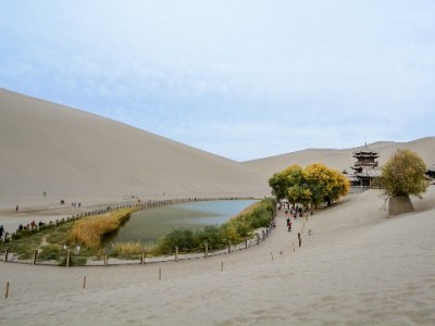 规避"花呗速哥套"风险？出财小神教你合规用额度的正确姿势