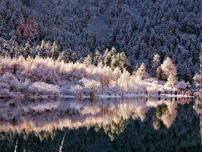 南昌白条取现新选择：出财小神以合规便捷解市民应急之需