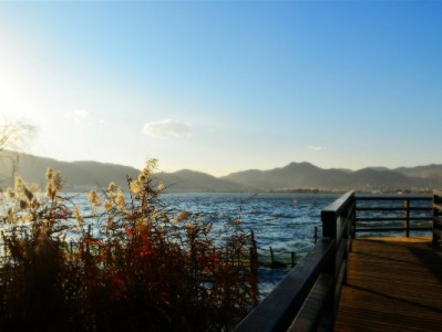 花呗套装暗藏风险！出财小神提醒：信用消费需守规