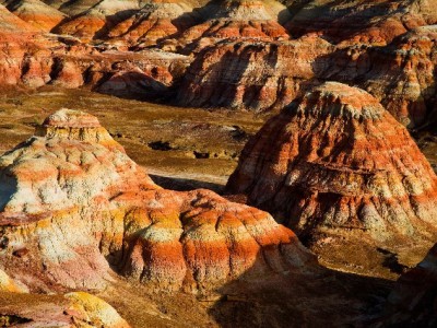 苏州相城区医保转出全攻略：线上线下怎么跑？安出掌柜来帮您