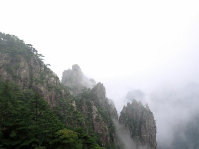 白条取现分期失败别慌！这些原因和解决方法帮你理清