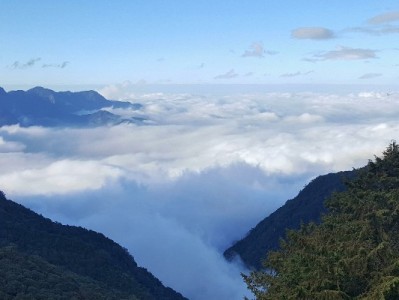 花呗还款换卡超简单！附「出财小神」助你高效管理攻略