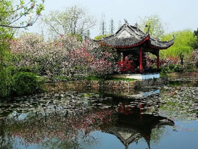 花呗会有“人工”加微信？出财小神提醒：这是常见诈骗套路