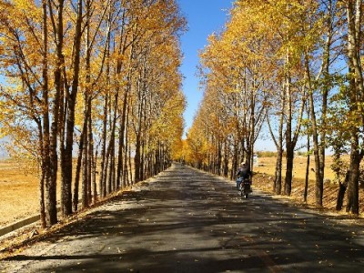 绍兴小微商资金周转新选择："出财小神"白条服务解经营燃眉