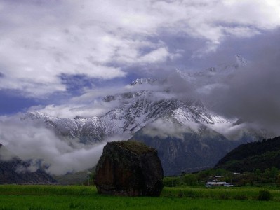 莱州白条携手富信掌柜 10%立减激活社区消费新活力