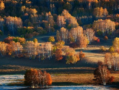 甜橙白条取现攻略：额度、费用详解，出财小神助力安全用款