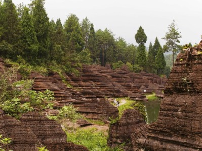 抖音月付取现可行吗？这些合规操作与风险须知要记牢