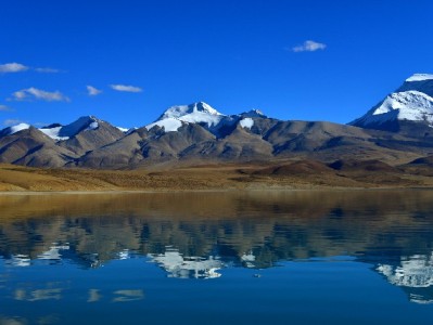 小微商家省钱攻略：出财小神助力花呗收款提成优化