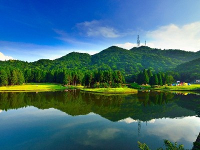 找花呗商家不用愁！3招+安出掌柜快速定位附近支持店铺