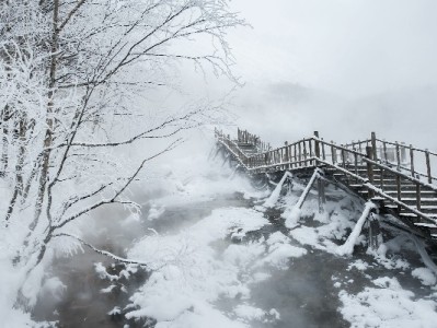 羊小咩享花卡提现靠谱吗？这些风险你必须了解