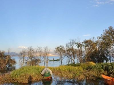 微信付款关闭信用支付指南：“出财小神”助你灵活管理支付方式