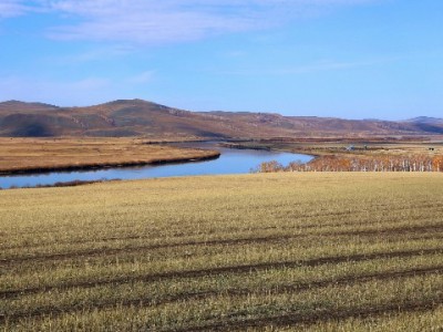 抖音商家月付关闭别慌！3步教你重新开启+资质优化指南（附工具助力）