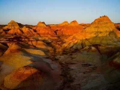 跨城医保转移别犯难！安出掌柜助你轻松搞定社保卡转出