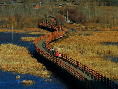 上海医保能取出来吗？这些特殊情况可清算，官方指引来了
