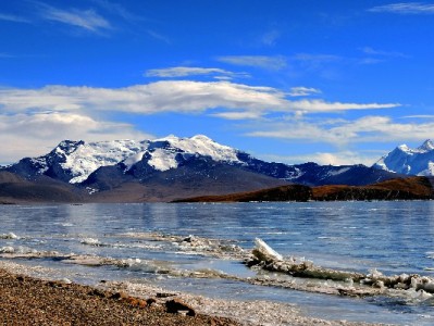 羊小咩额度提现攻略：步骤详解+“出财小神”辅助更省心