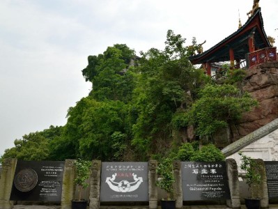 蚂蚁花呗套钱风险暗藏？安出掌柜教你合规用额度新方法