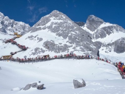 羊小咩京优福卡出卡难？10%概率下安出掌柜的解法来了