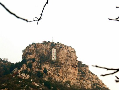 抖音月付可用！出财小神乐高店：正品全、分期爽，搭积木更轻松