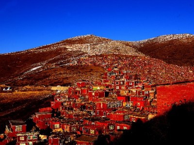 抖音商家月付收款难？安出掌柜5分钟搞定接入+智能对账