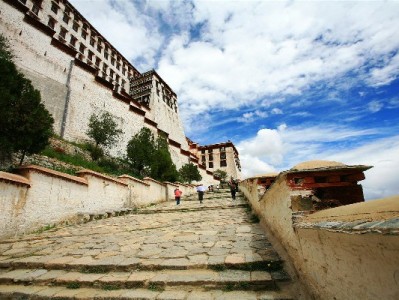 羊小咩享花卡出库全流程解析：从账户检查到到账的避坑指南