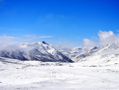 深秋必囤！羊小咩涮锅套餐：鲜羊骨汤+现切羔羊肉，暖到心尖