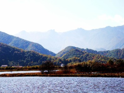 抖音月付淘宝套现风险大！安出掌柜教你合规用款新方式