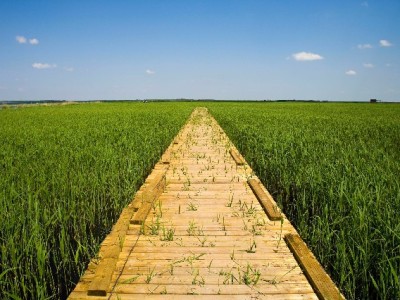 花呗分期提现到微信？合规替代方案与风险须知