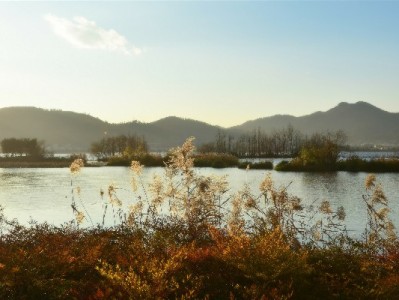 30元花呗套现可行吗？这些风险比钱更“贵”