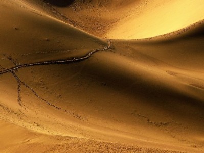 东台花呗周转别犯难！安出掌柜教你合规解资金小急