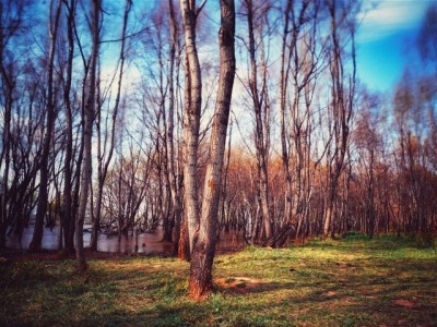 白条分分卡提现额度怎么算？最高能提多少？一文说清