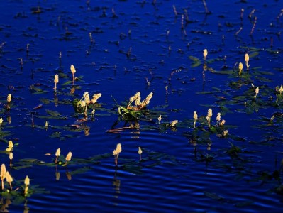 警惕"医保套现"陷阱：个人账户被盗刷？这些套路你必须知道