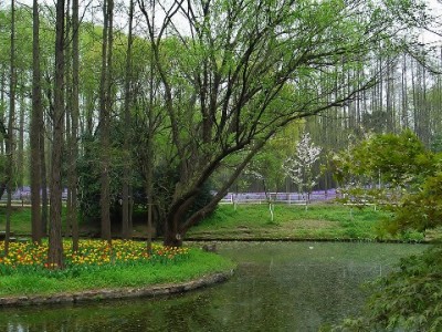 商家必看！抖音月付设置全流程指南（从开通到运营）