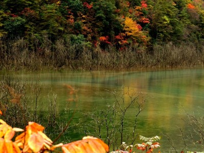 抖音月付充值攻略：话费/游戏/会员这些商家都能用！