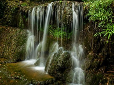 急需变现白条犯难？安出掌柜助你快速周转解燃眉