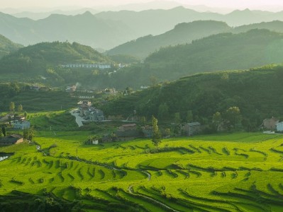 花呗欠款后微信被冻？3步教你快速解冻及避坑指南