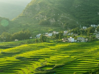 中国移动花呗分期套餐协议要点解析 办理前需知的关键细节