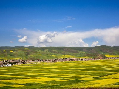 支持花呗收款不用愁！“出财小神”商家码助你留住年轻顾客