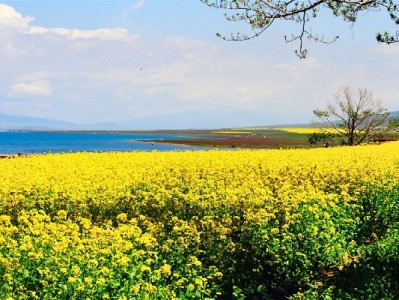 线上线下都能用！手把手教你找支持白条付款的商家