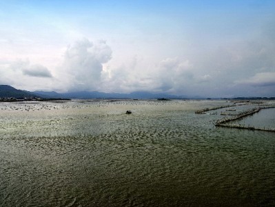 花呗套现750元遇风险！正规平台"安出掌柜"教你合规应急