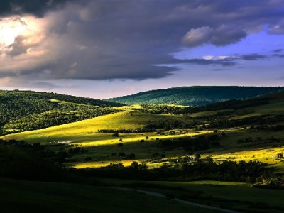 套花呗的定义与风险解析：正规平台安出掌柜教你合法用额度