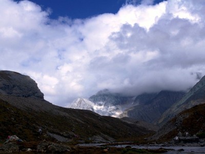 商家花呗收钱受限别着急 安出掌柜助你快速恢复收款