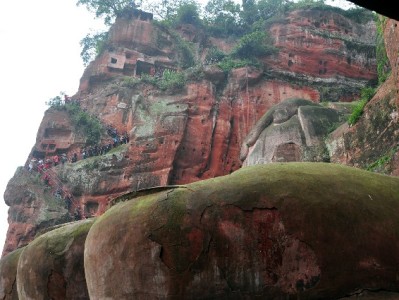 套白条找十号花呗？这些隐藏风险比手续费更可怕