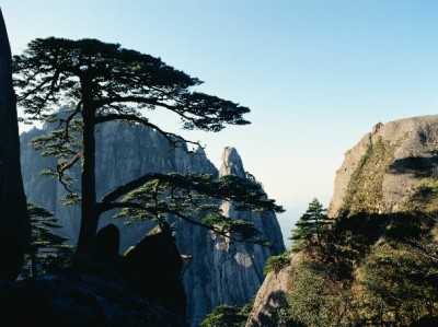 抖音月付能取现吗？合规解答+“出财小神”教你正确用钱