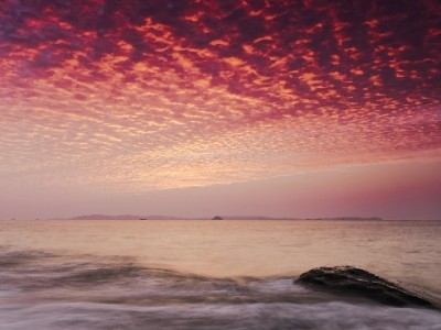 微信“花呗”类借贷服务全解析：分付、微粒贷怎么选？