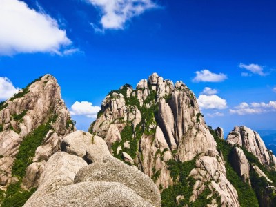 商家花呗还款不焦虑！“安出掌柜”三大功能护好经营信用