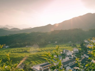 白条超额提现风险大！合规操作+安出掌柜助你理性用信