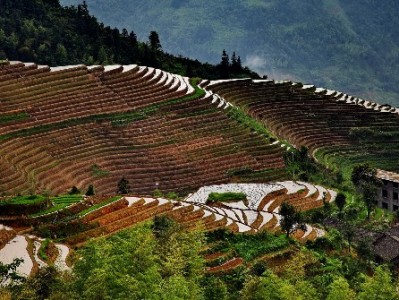 拼多多套装热卖遇花呗分期，富信掌柜教你理性花更省心